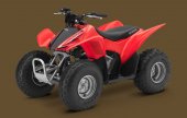 2013 Honda TRX90X photo